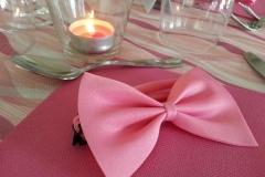notte rosa