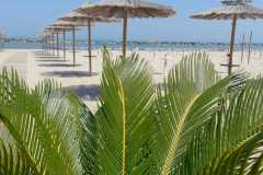 la spiaggia