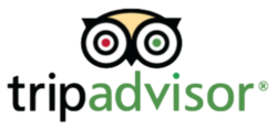 tripadvisor